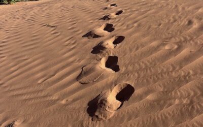 Marche & coaching dans le désert marocain (séjour mixte)